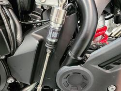 2025 Triumph Tiger 900 GT Pro Tiger Grey