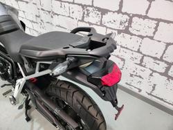 2025 Triumph Tiger 900 GT Pro Tiger Grey
