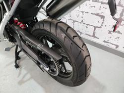 2025 Triumph Tiger 900 GT Pro Tiger Grey