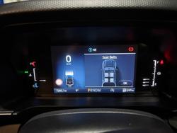 2024 Ford
                Ranger XLT