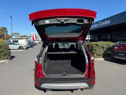 2017 Ford
                Escape Trend