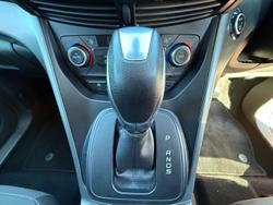 2017 Ford
                Escape Trend