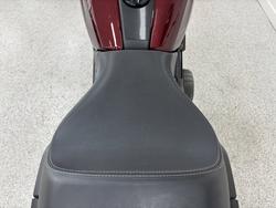 2022 INDIAN FTR SPORT Maroon