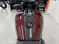 2022 INDIAN FTR SPORT Maroon