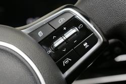 2024 Kia
Carnival S