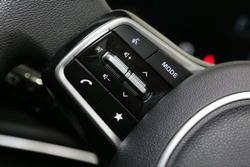 2024 Kia
Carnival S