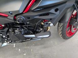 2025 Kawasaki Z500 Red