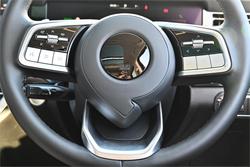 2025 GWM
Cannon Alpha Ultra PHEV