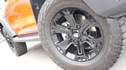 2025 GWM Tank 300 Ultra