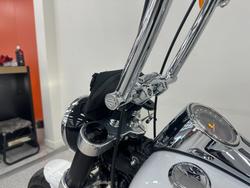 2021 Harley-davidson FLSB SPORT GLIDE White