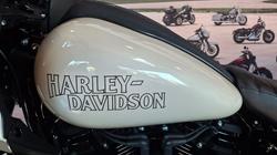 2023 Harley-davidson FXLRST LOW RIDER ST (117) WHITE SAND PEARL