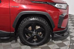 2020 Toyota
                RAV4 Cruiser