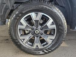2022 GWM
                Ute Cannon-X