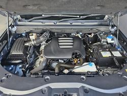 2022 GWM
                Ute Cannon-X