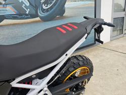 2025 BMW Motorrad F 900 GS ENDURO White