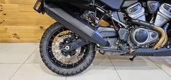 2021 Harley-davidson RA1250S PAN AMERICA SPECIAL Green