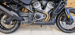 2021 Harley-davidson RA1250S PAN AMERICA SPECIAL Green