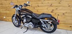 2012 Harley-davidson XL1200C 1200 CUSTOM BROWN