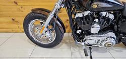 2012 Harley-davidson XL1200C 1200 CUSTOM BROWN