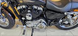 2012 Harley-davidson XL1200C 1200 CUSTOM BROWN