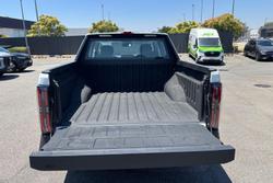 2025 LDV Terron 9 Origin