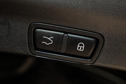 2019 Alfa Romeo Stelvio Quadrifoglio