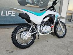 2025 Honda CRF110F White