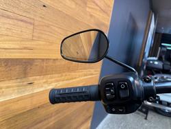 2025 Harley-davidson FXLRS LOW RIDER S (117) Grey