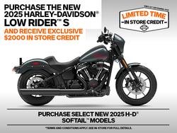 2025 Harley-davidson FXLRS LOW RIDER S (117) Grey
