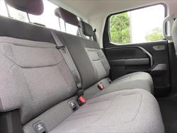 2025 LDV
Terron 9 Origin