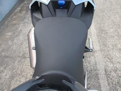 2024 BMW Motorrad S 1000 R BLUE