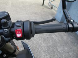 2024 BMW Motorrad S 1000 R BLUE
