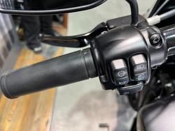 2022 Harley-davidson FXBBS STREET BOB (114) Grey
