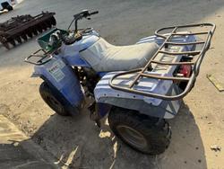 Yamaha
YMF250