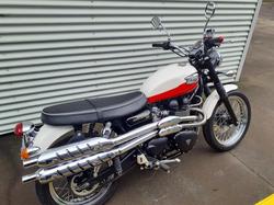 2008 Triumph Scrambler Scrambler