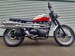 2008 Triumph Scrambler Scrambler