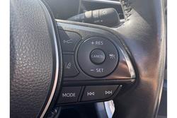 2019 Toyota
                Corolla SX Hybrid