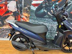 2024 Suzuki ADDRESS (UK110NMM2) BLUE