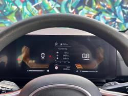 2024 Kia
                Carnival S