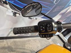 2025 Harley-Davidson Street Bob 117 (FXBB) Softail Yellow
