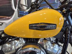2025 Harley-Davidson Street Bob 117 (FXBB) Softail Yellow