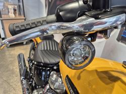 2025 Harley-Davidson Street Bob 117 (FXBB) Softail Yellow