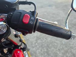 2010 Triumph THRUXTON 900 RED