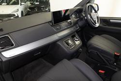 2025 LDV
G10