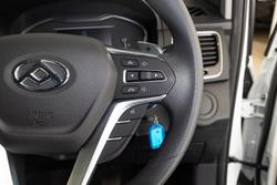2025 LDV
G10