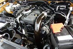 2024 Ford Ranger Wildtrak MY24.50 4X4 Dual Range