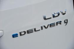 2023 LDV
eDeliver 9