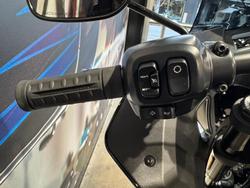 2025 Harley-Davidson Low Rider ST 117 (FXLRST) Softail Black