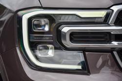 2024 Ford
                Everest Platinum