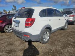 2014 Holden Captiva 7 LS CG MY15 White